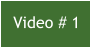 Video # 1