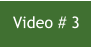 Video # 3